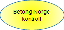 Snarvei til Beton Norge kontroll